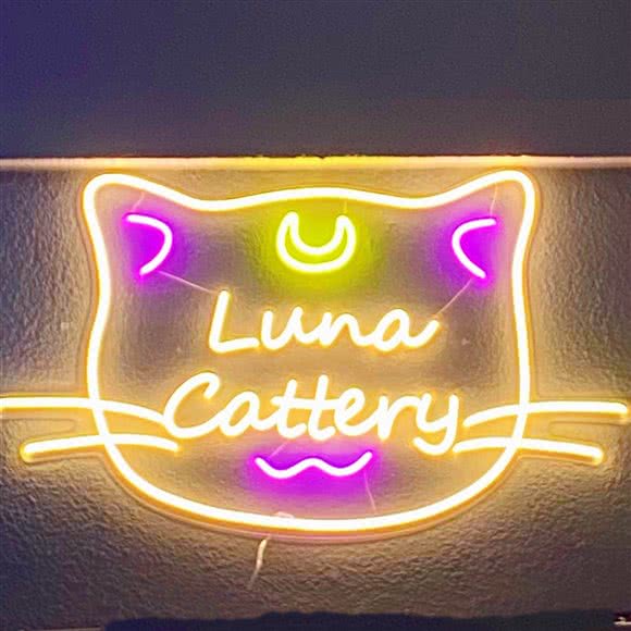 LUNA小猫生活馆:南通市崇川区文峰附近