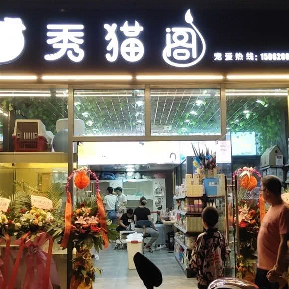 秀猫阁·猫咪花园(万达店):南通市崇川区万达广场附近