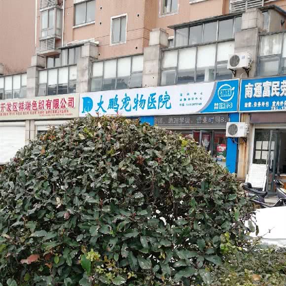 大鹏宠物:南通市崇川区上海路附近