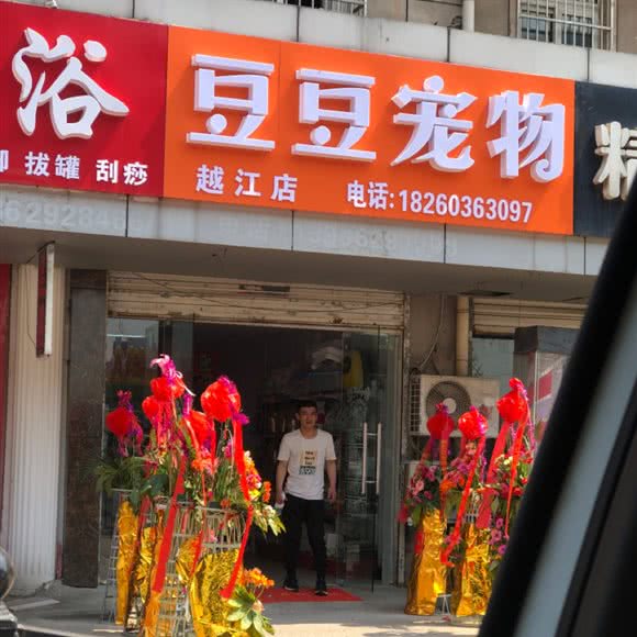 豆豆宠物(越江店):南通市崇川区越江路口/永兴附近