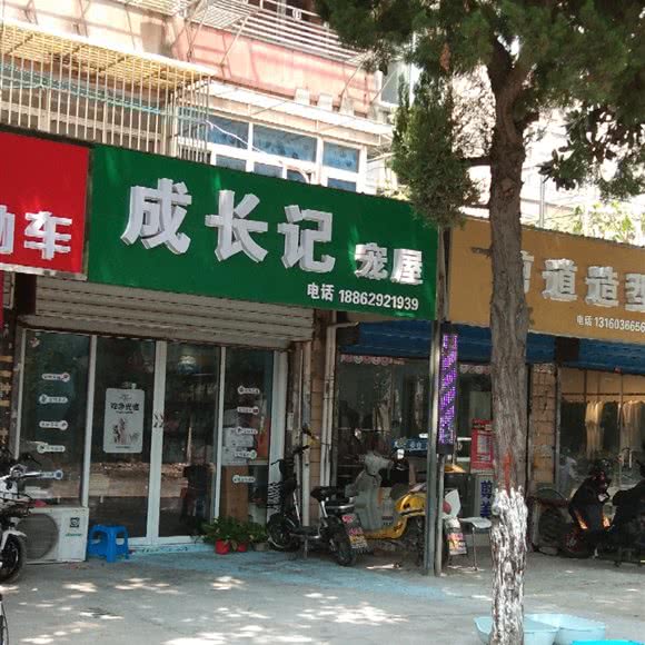 成长记宠屋:南通市崇川区段家坝附近