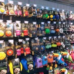 宠品汇:北京城区通州区土桥附近