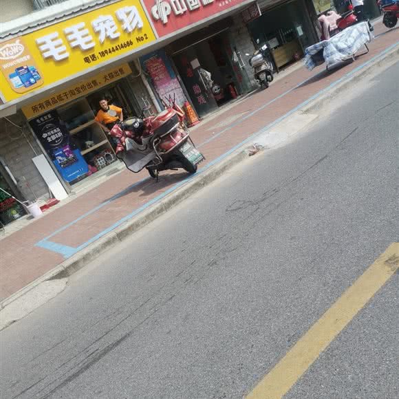 毛毛宠物(No2店):南通市崇川区城隍庙附近