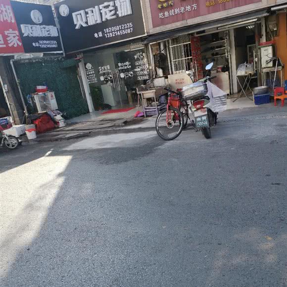 贝利宠物:南通市崇川区城隍庙附近