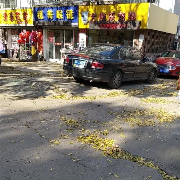 犬佳乐宠物:南通市崇川区城隍庙附近