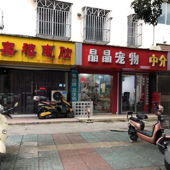 玥宠物店:南通市崇川区学田附近