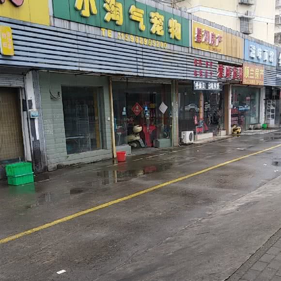 小淘气宠物(通生路):南通市崇川区高店附近
