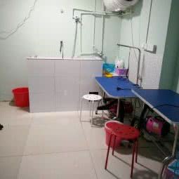 猫狗大战宠物生活馆(怡园店):南通市崇川区高店附近