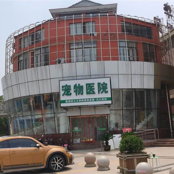 皮大王宠物医院:南通市崇川区鸿鸣摩尔附近