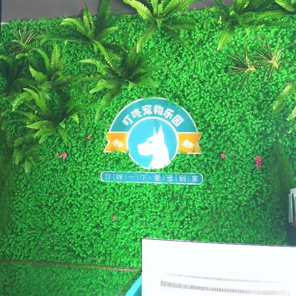 叮咚狗狗乐园:南通市崇川区观音山附近