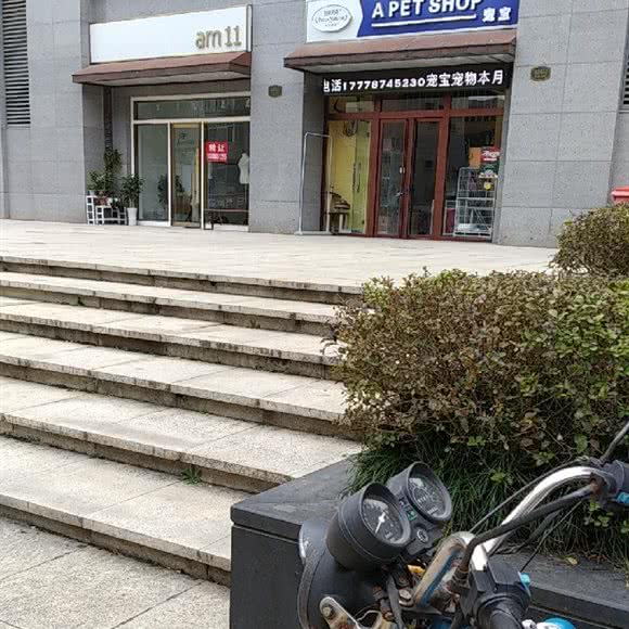 宠宝宠物狗:南通市崇川区南通濠河风景区附近