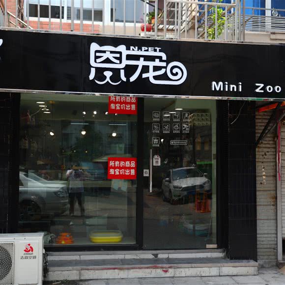 N.pet(恩宠宠物):南通市崇川区南通濠河风景区附近