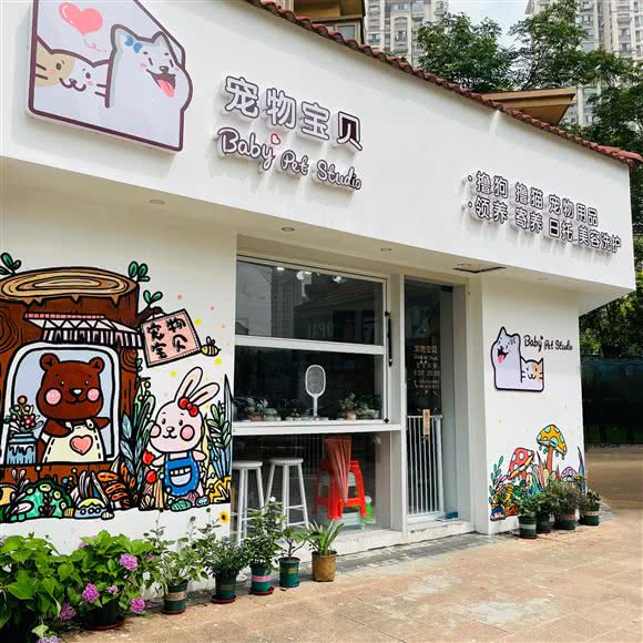 宠物宝贝baby pet studio:南通市海门区海门区附近