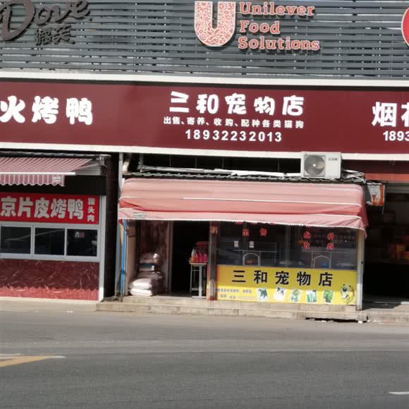 三和宠物店:南通市海门区海门区附近