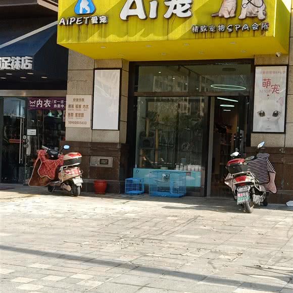 Ai宠精致宠物Spa会所:南通市海门区海门区附近