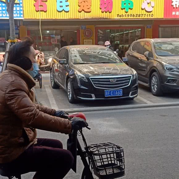 石氏宠物中心:南通市海门区海门区附近