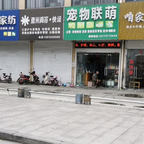 宠物联萌:南通市海门区海门区附近