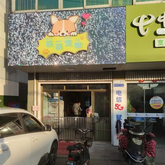 萌萌宠物:南通市海安市海安市附近