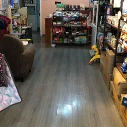 天铖高端宠物美容工作室:南通市海安市海安市附近