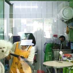 宠物森林:南通市海安市海安市附近