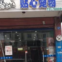 贴心宠物狗:南通市海安市海安市附近