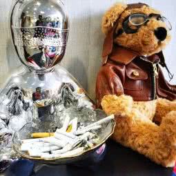 神奇萌宠舍:北京城区朝阳区亚运村附近