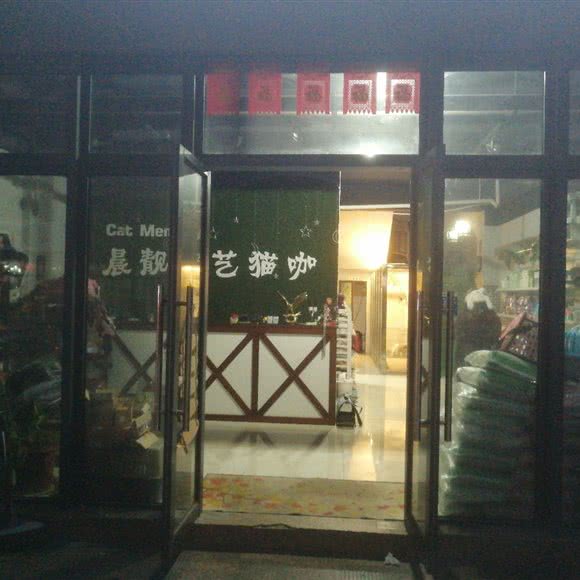 晨靓宠艺猫咖:南通市海安市海安市附近