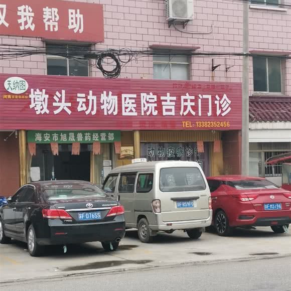 天纳图墩头动物医院吉庆门诊:南通市海安市海安市附近