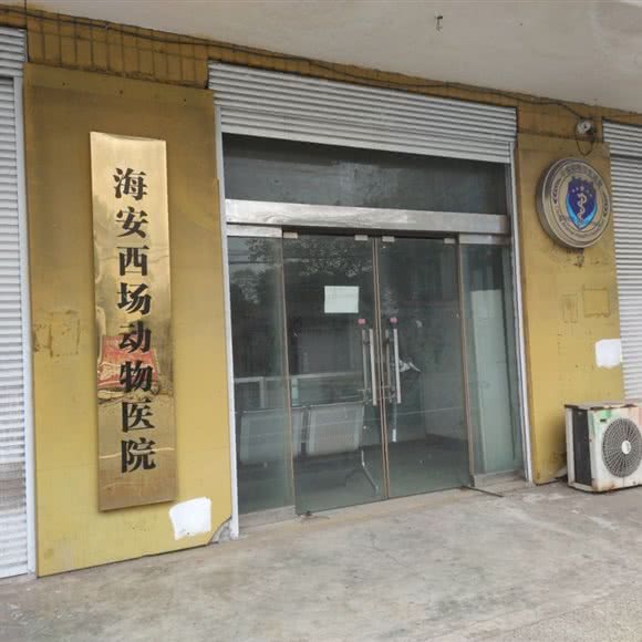 海安西场动物医院:南通市海安市海安市附近
