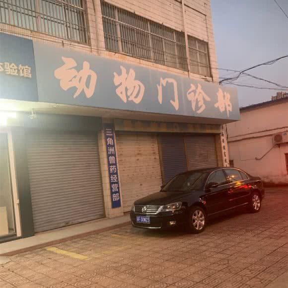 海安城区动物医院:南通市海安市海安市附近