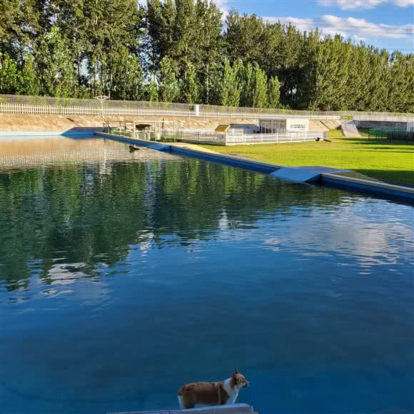 扎堆儿宠物公社:北京城区通州区开发区附近