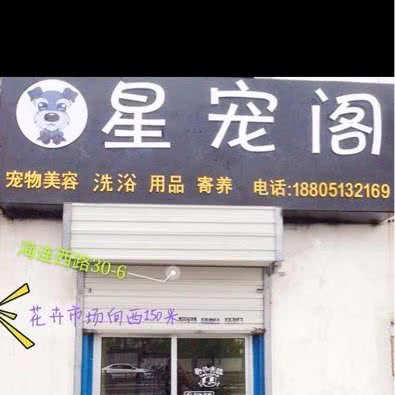 星宠阁宠物店:连云港市海州区海连路附近