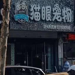 猫眼宠物:连云港市海州区海连路附近