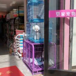 多格宠物:连云港市海州区海昌路附近