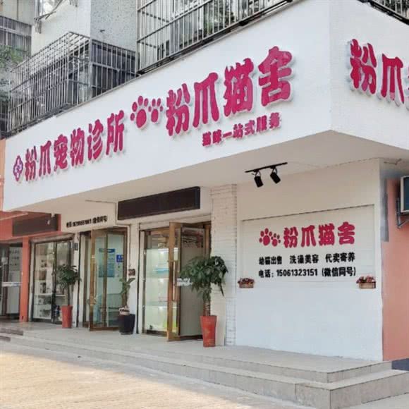 粉爪宠物诊所?粉爪猫舍:连云港市海州区海昌路附近