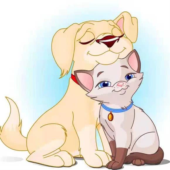 一家美发店里的宠物店:连云港市海州区通灌路附近