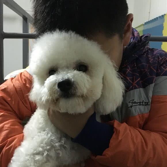 猫言狗语:连云港市海州区通灌路附近