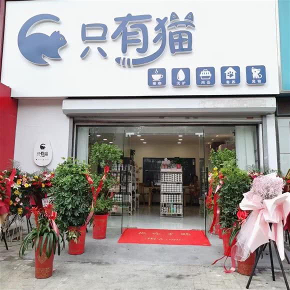只有猫?猫咖?宠物店:连云港市海州区万润街附近