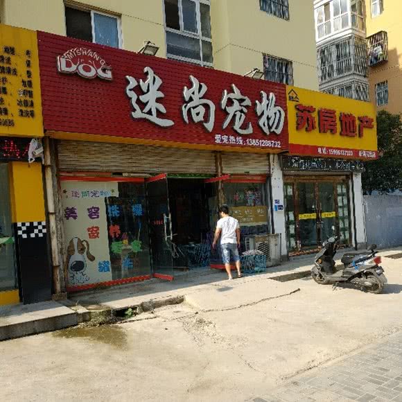 迷尚宠物:连云港市海州区盐河路附近