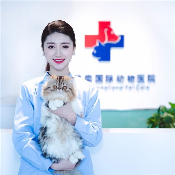 欧奕国际动物医院:北京城区顺义区国展附近