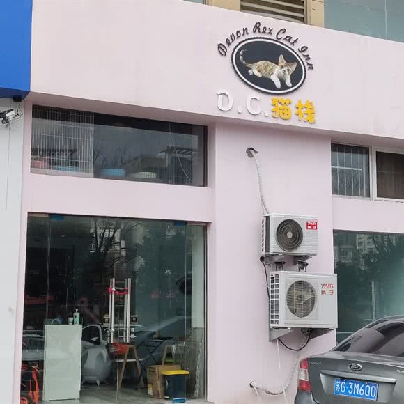 D.C.猫栈猫咖:连云港市海州区解放路附近