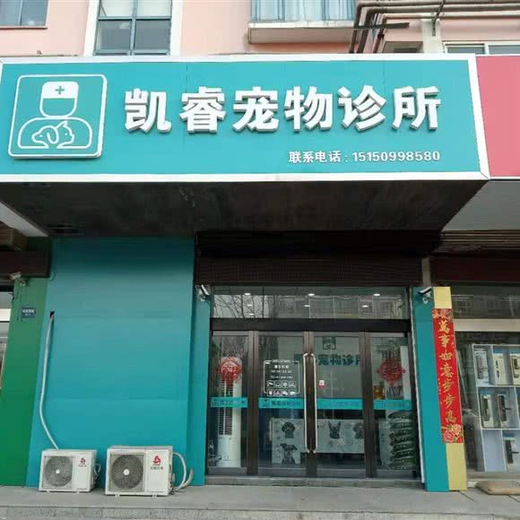 凯睿宠物诊所:连云港市海州区苍梧路附近