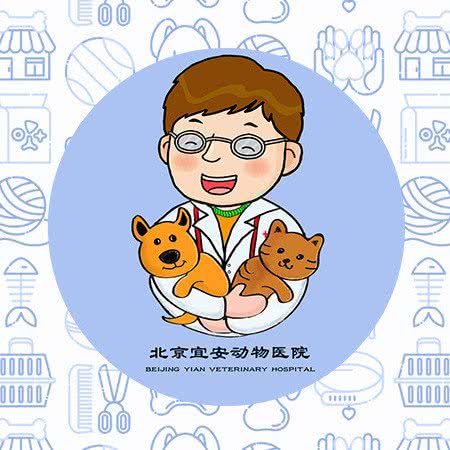 北京宜安动物医院(满庭芳店):北京城区顺义区国展附近