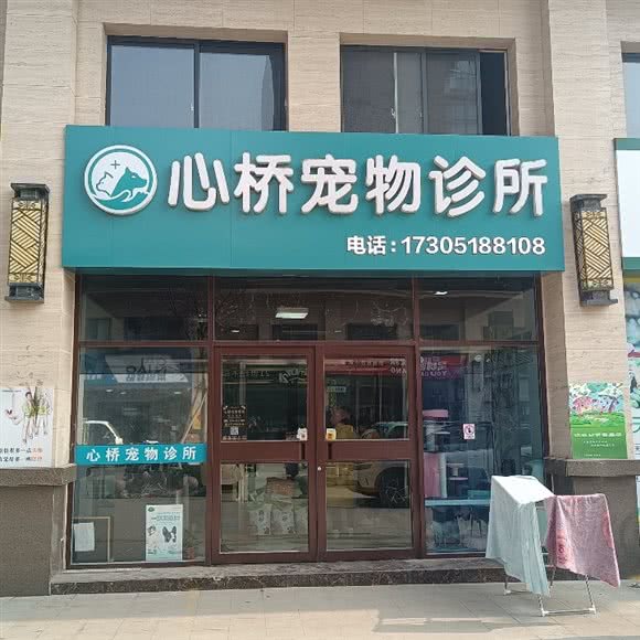 心桥宠物诊所:连云港市海州区海州万达广场附近