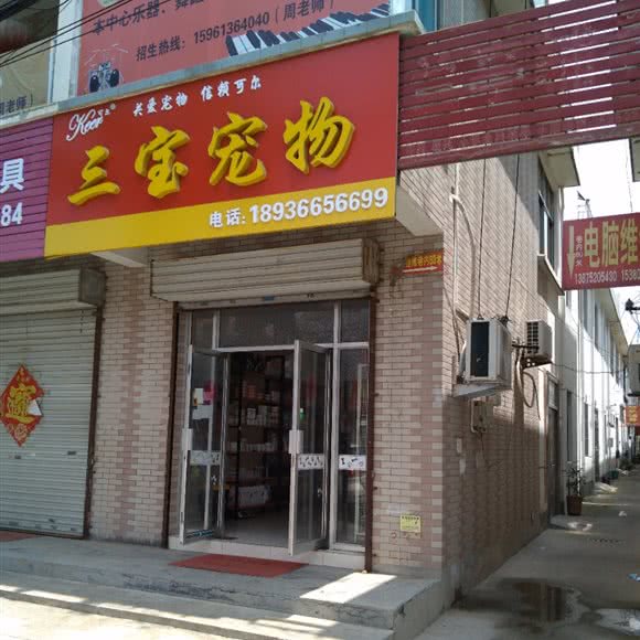 三宝宠物:连云港市海州区花果山附近