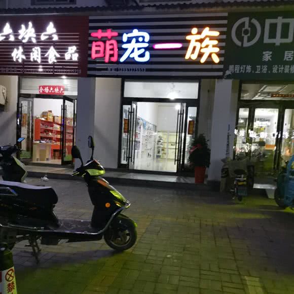 萌宠一族:连云港市海州区板浦附近