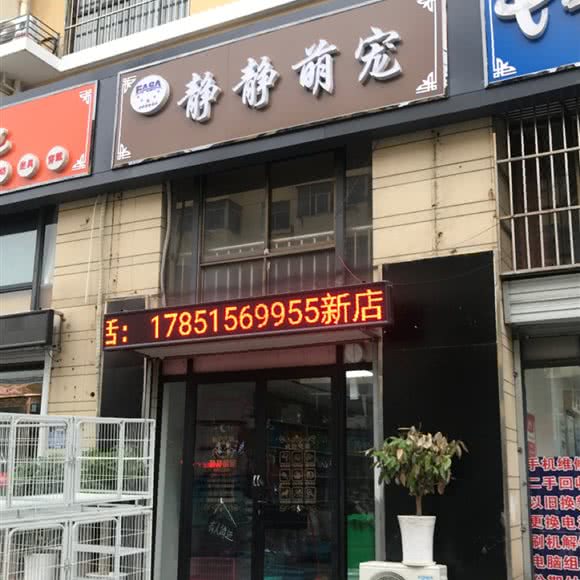 静静萌宠:淮安市淮阴区淮海北路附近