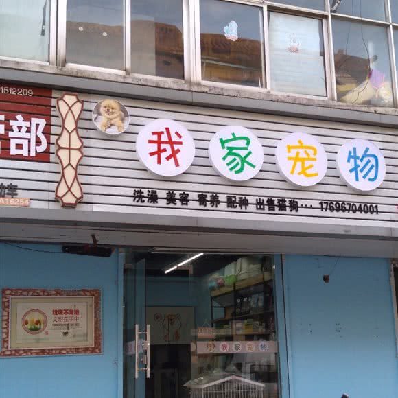 我家宠物:淮安市淮阴区淮海北路附近