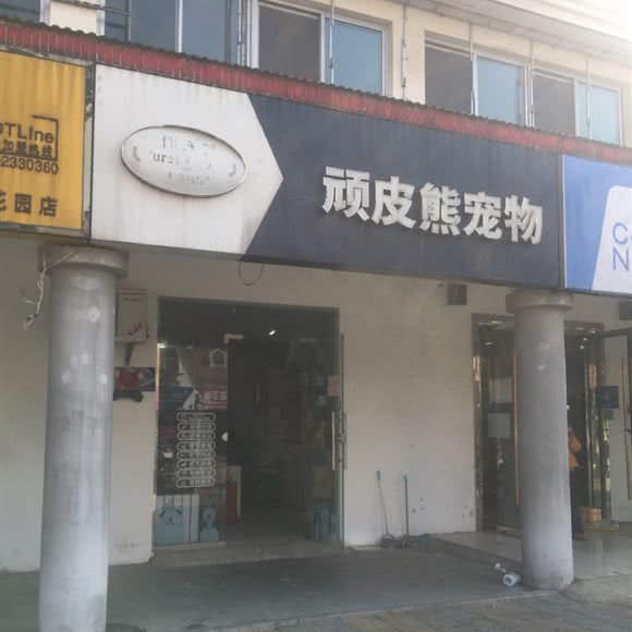 顽皮熊宠物:淮安市清江浦区解放东路附近