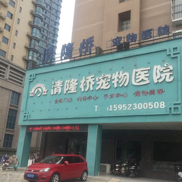 清隆桥宠物医院:淮安市清江浦区解放东路附近